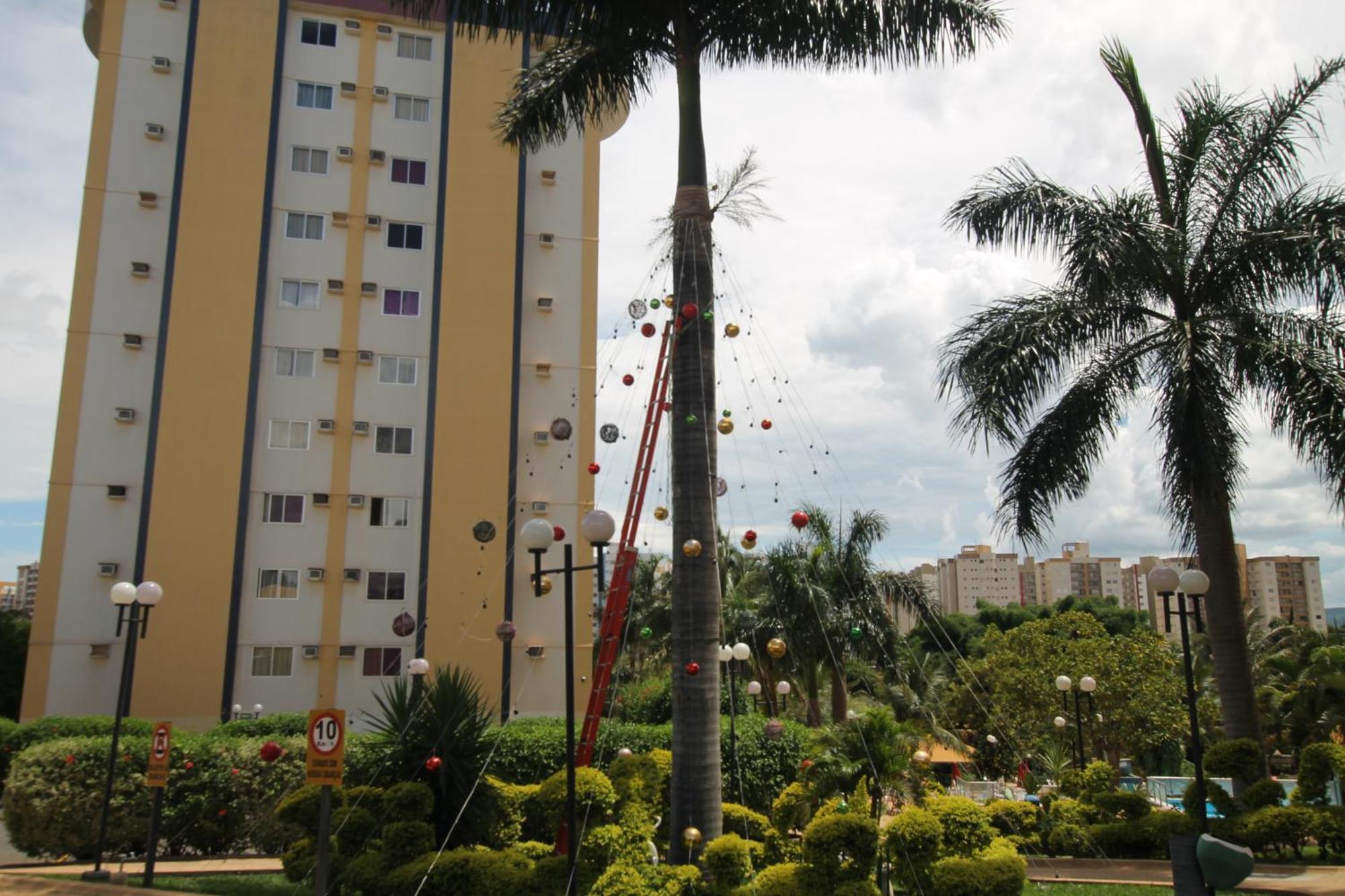 Apartment Golden Dolphin 24h Click Caldas *
